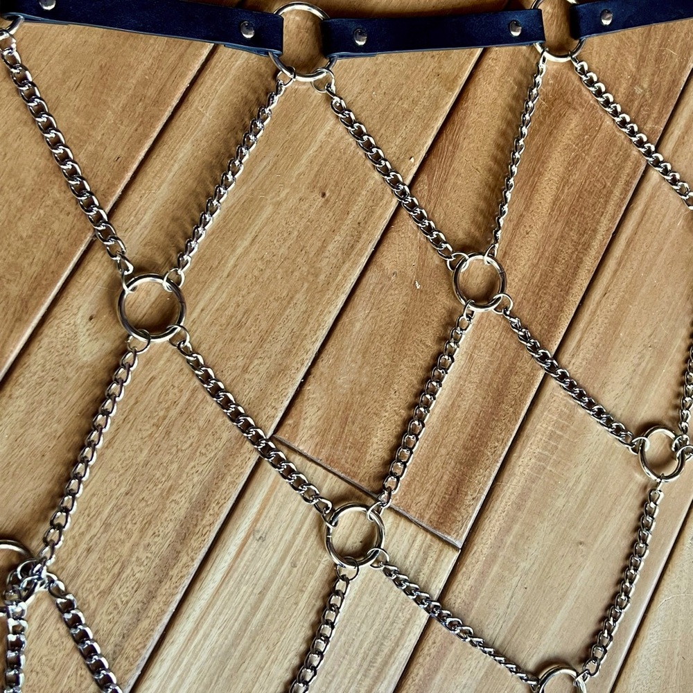 Chain Belt - Picture 3 of 3